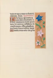 Getijdenboek van Koningin Isabella de Katholieke, Koningin van Spanje: Fol. 30r, c. 1500