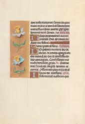 Uren van Koningin Isabella de Katholieke, Koningin van Spanje: Fol. 40v, ca. 1500