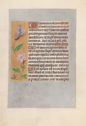 Getijdenboek van koningin Isabella de Katholieke, koningin van Spanje: Fol. 98v, ca. 1500
