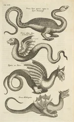 Tab XII, Mythische wezens, Draken, Illustratie uit 