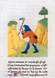 Le Livre des simples medecines - vertaling in het Frans van het 12e-eeuwse Latijnse manuscript van Matthaeus Platearius (perkament)