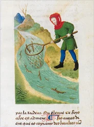 Le Livre des simples medecines - vertaling in het Frans van het 12e-eeuwse Latijnse manuscript van Matthaeus Platearius (perkament)
