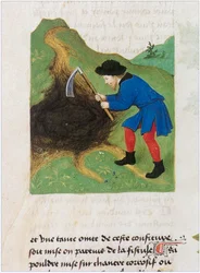 Le Livre des simples medecines - vertaling in het Frans van het 12e-eeuwse Latijnse manuscript van Matthaeus Platearius (perkament)