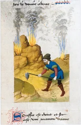 Le Livre des simples medecines - vertaling in het Frans van het 12e-eeuwse Latijnse manuscript van Matthaeus Platearius (perkament)