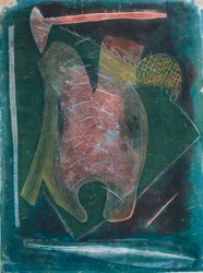 Zintuig