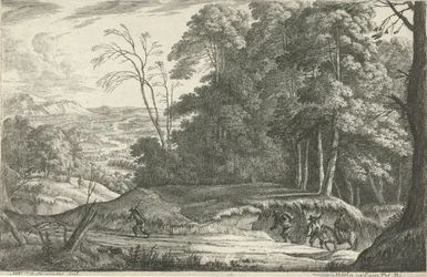 De weg langs de rand van het bos