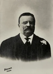 Portret van Theodore Roosevelt, president van de Verenigde Staten ( 1858
