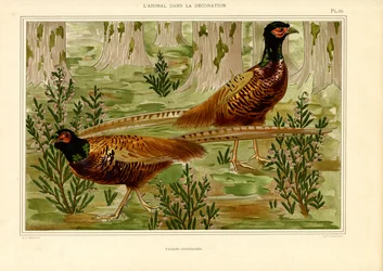 Naturalistisch fazantenpaar in bos (litho)