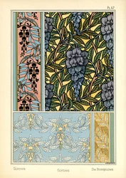 De Glycine