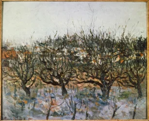 Appelbomen in Montmagny