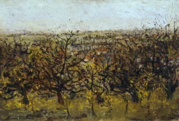 Appelbomen in Montmagny