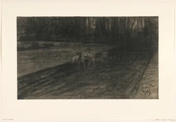 Ploegende paarden