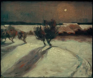 Sneeuwlandschap in maanlicht