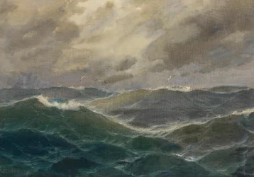 Stormachtige zeeën