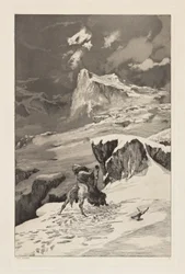Vechtende centauren