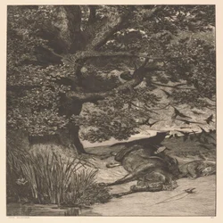 Gevallen ruiter