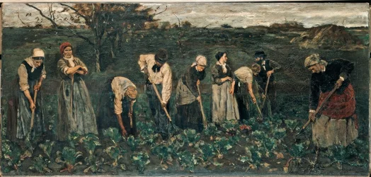 Arbeiders op het bietenveld