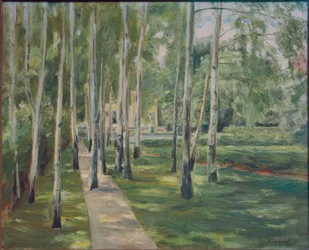 De berkenlaan in de Wannsee-tuin naar het westen