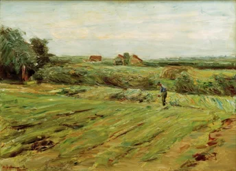 Oogstveld – Koolveld (?)