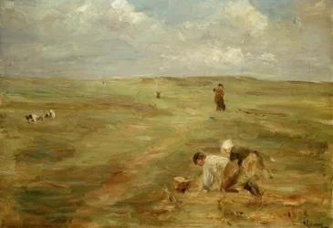 Aardappelgravers in de duinen van Zandvoort