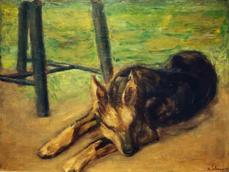 Slapende herdershond