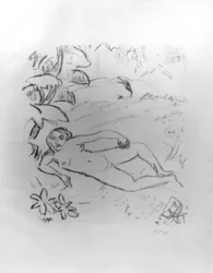 Naakt in de duinen