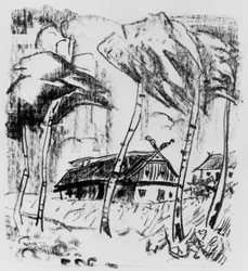 Boerderij achter berkenbomen