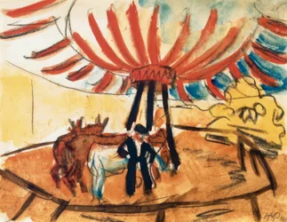 circus