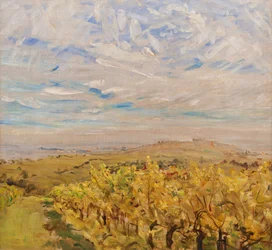 Vroege herfst in de Palts. Wijngaarden bij Neukastel, 1927