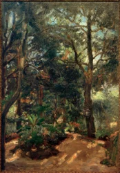 Graf met zonnevlekken