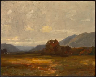 Landschap