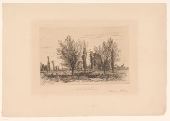 Landschap met weide en zicht op een stad