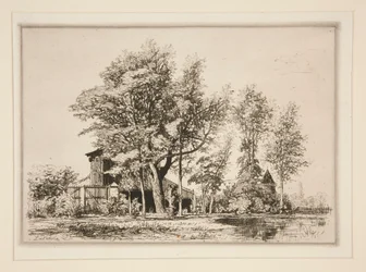 Acacia Bomen