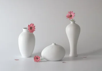 Serene bloemenvazen