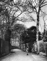Herfsttijd in Holland Walk, Londen, 1926-1927