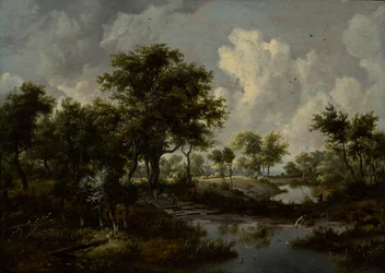 Een bebost landschap