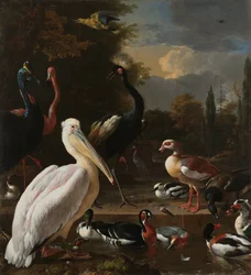 Een pelikaan en ander gevogelte bij een waterbassin, bekend als 