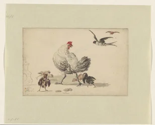 Twee zwaluwen en een hen met vier kuikens