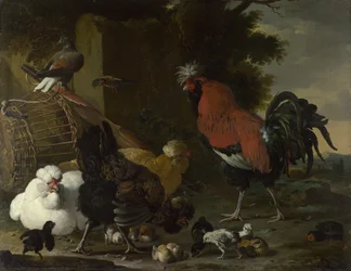 Een haan, hennen en kuikens