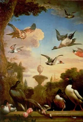 Een Wilde Eend en een Steenarend in een Klassiek Tuinlandschap