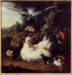 Een hen en haar kuikens