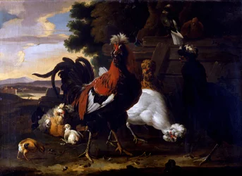 Haan, hennen en kuikens bij een hek in een bosrijk landschap