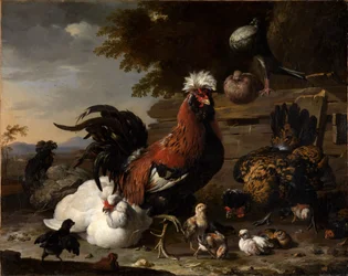 De vrede op het kippenhof
