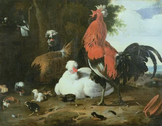 Boerderijdieren met Duiven