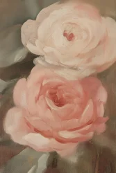 Schilderij ‘Blush Rose’
