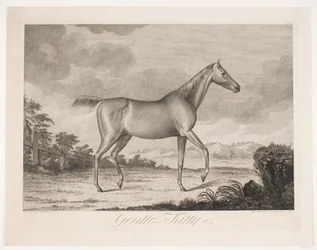 Het paard "Gentle Kitty"
