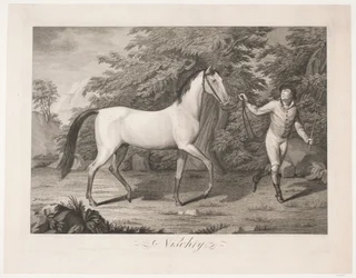 Het paard "Hesten Nischty"