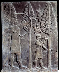Vogeljachtscène. Laag reliëf in albast uit het paleis van Sargon II of Sharroukin, koning van Assyrië in Khorsabad (Khunsabad) (Mesopotamië), Irak. 722-705 v.Chr. Parijs. Louvre Museum
