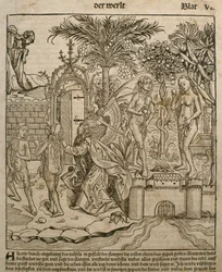 Adam en Eva, illustratie uit de 