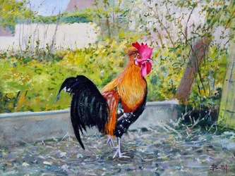 Le Coq Lico, 2003 (olieverf op board)